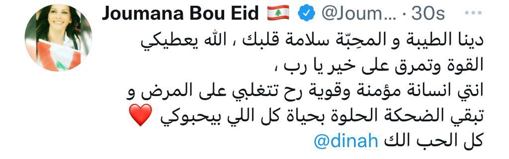 إصابة دينا حايك بسرطان الثدي .. 5 معلومات عن مرض دينا حايك الخطير