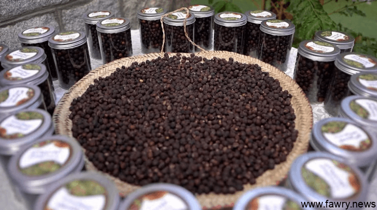 شاهد بالصور .. غرفة المخواة تحتفل بيوم القهوة العالمي