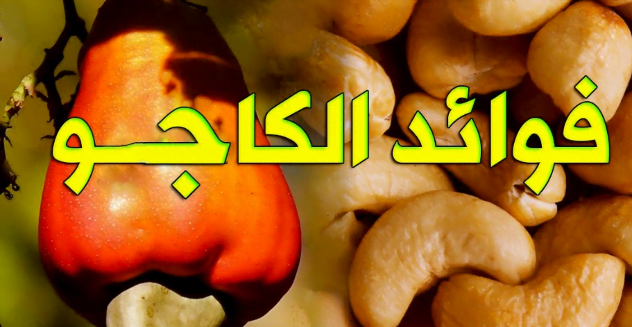 فوائد “الكاجو” تفوق الخيال .. أبرزها إنقاص الوزن