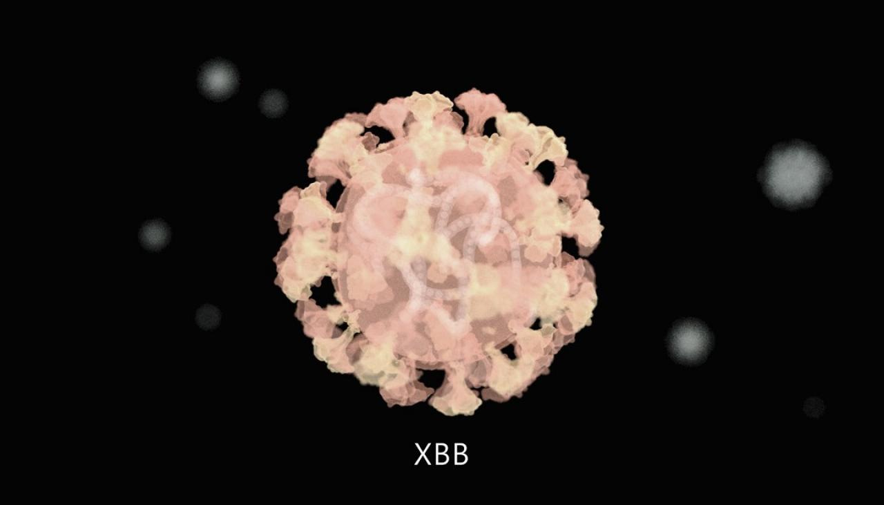 رصد متحور "XBB" من "أوميكرون" .. وقاية تحذّر: "ارتدوا الكمامات في الأماكن المزدحمة"
