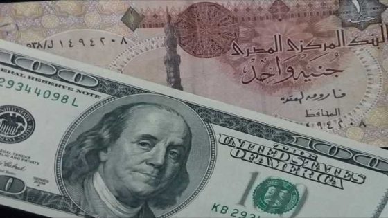 استقرار سعر الدولار مقابل الجنية المصري في البنوك