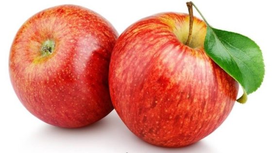 التفاح : فوائده واستخداماته ، بحث عن التفاح