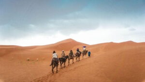جاذبية المملكة العربية السعودية
