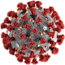 هيئة الصحة العامة ” وقاية ” : المتحور الجديد لفيروس كورونا «JN.1» سريع الانتشار ولا يدعو للقلق