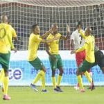  جنوب أفريقيا تكتسح ناميبيا برباعية في كأس الأمم الأفريقية