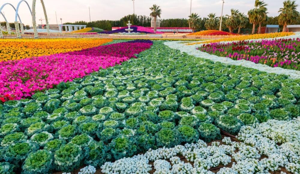 مهرجان الزهور